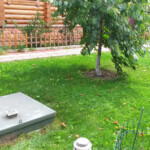 Фото станции Топас на участке